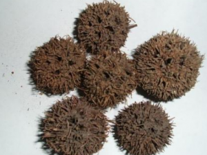 ··ͨ����Щ���� ··ͨ�ζ�������ˮ