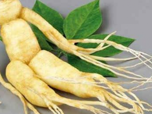 �����ε�ʳ�ý��� ��Щ�˲��˳Ը�����