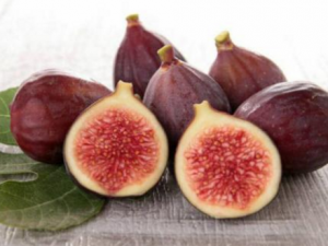 �޻����������ֲ� ��֪����