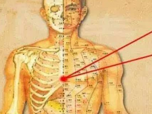 ��ҽ�������������� ���Ҫ��������