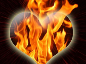 ��θ���ò����ҳԶ��� ��θ���õ���ʳ����