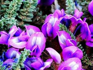 �ҽ�������Щ������ �ҽ�������������