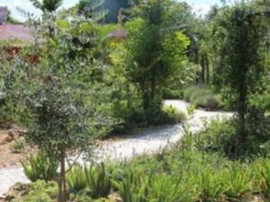 �ľ�β�����Ѫ��ʹ �ľ������Щ����