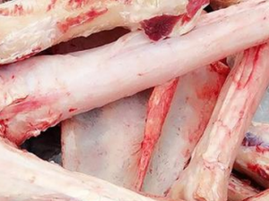 ¿����ʲô���� ¿�������ڷ�