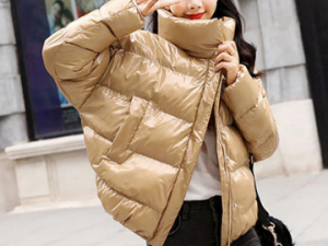 �ﶬ����Ļ���������������