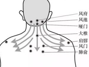 ��ҽ���ͨ��Ѩλ����ǿ���� ��ָѹ��Ѩ�ķ���