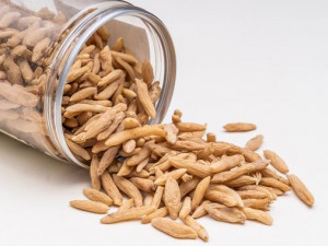 ��ҽ��ν����Ŷ����� �Ŷ��������ĸ���ҽ�