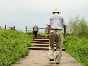 ��������֢״����Щ ��ο������Ƿ�������