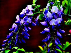 ������Ҳ������ҩ����� �⼸�ֳ��ý����ҩ����Ҫ����Ŷ