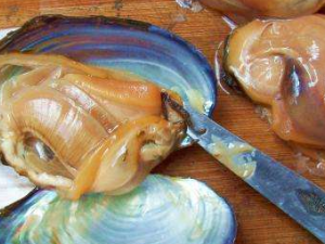 Ƣ��������ע����ʳ ��Щʳ��Ƣ����˲��˳�