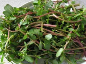 �����ȿ���Ѫ���� �����ȵ����ݹ�Ч