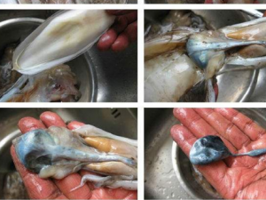 ���Ĳ�������ƫ�� ī���ι��Ĳ�