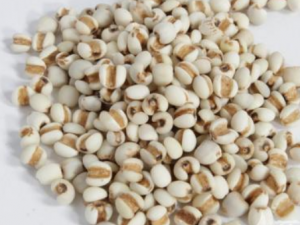 ޲���ʵ��������� �����޲���������ݼ���