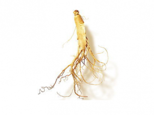 �˲�����������ݹ�Ч �˲�ʹ�õõ�����������ɫ