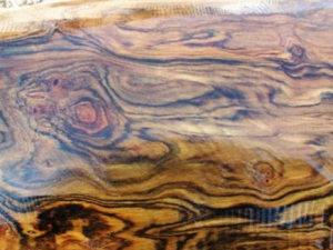 ����ľƤ�����˳�Ѫ ����ľƤҲ������ֹѪ