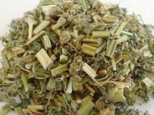 ��ĸ�ݵ����ݹ�Ч �������ĸ��������