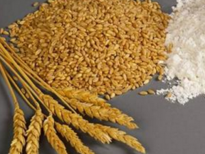 ��Ʒһ��ǹ����� ��Ʒһ��ǹ�����̴�����