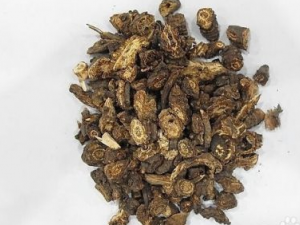 Ǽ��ʤʪ������� Ǽ��ʤʪ���ɳ�ʪֹʹ