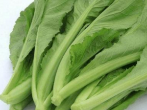 ѩޮĹЧ ѩޮнⶾ׿θʳ