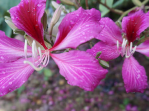 ϾѾʲôЧ ϾѾηʪʹ