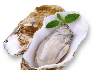 ��Щʳ�ﲻ�˺�ĵ��ͬʳ ĵ�õ�ʳ�ý���