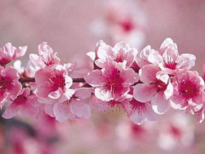 �һ������ݼ�Ʒ ��ҽ��������һ�������������