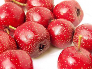 ɽ髶������ ��֪��ɽ髵�ʳ�ý�����