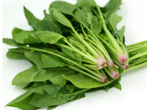 �߲˵�10�����Է��������� ��β��ܱ�����