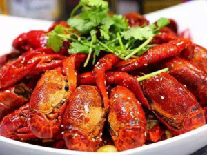 ʮһ���˲��˳��� ��Ҳ��������