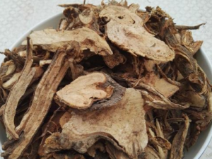 ���������Щ��Ч���� ��������ڸ�ð����