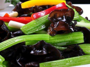 ۲ľٺ嵭ˬڵļ ۲ľٺϻθ