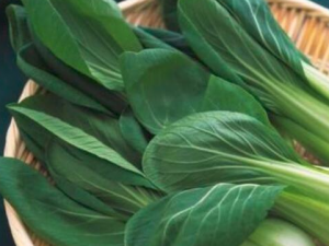 θ��θ����������� ��ҽ����Ӧ�����������