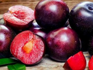 ���ӵĹ�Ч������ ���ӿ������������Ѫ�ⶾ