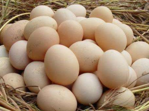 �ü���������ʹ����Сƫ�� ��ʹ�������Ѳ�������Ŷ