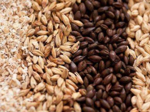 �����е���ʳ������������ �̵�һ�������е���ʳ����