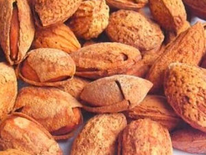 �������䵭����ô�� ��Щ����ʳ���ܻ�����