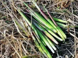 �����ݿ�������ʲô���� �����ݿ�������Ϣ����ζ���