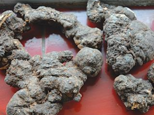 ������ʯ���Ĺ�Ч���� ������ʯ�����μ����԰�����