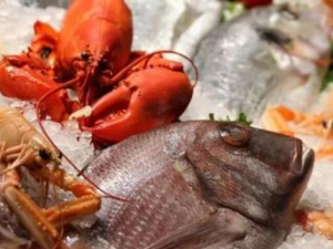 ������ǻ�׵���ҩ�Ʒ� ��ҽ��ε���������ǻ��