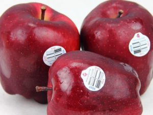 �߹����г��ߵ�ҩ�ü�ֵ ���߹����ܽ���Ѫ֬