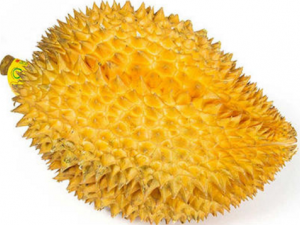 �����Ĵ���ʳ���� �����������ϸ����򲡻���Ҫ������