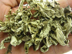 ���ľ����������Щ����  �����Ŀɽ��ɢ��