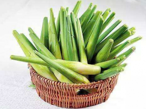 ���׵Ĺ�Ч���� ���׼���������ˮ���ܸ���������֫����