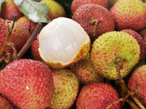 �������ε��Ŷ� ��ҽͨ����ʲô���ε��Ŷ�