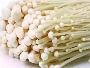 ���빽��������Ѫ֬���� ���빽Ҳ�ɴٽ���������