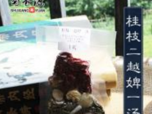 Խ����Ĺ�Ч���� Խ�������й��ɢˮ����