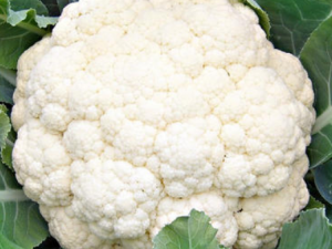 ���˵Ĺ�Ч������ �����ܰ��㵭��ɫ��