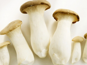 ���ȹ��Ĺ�Ч������ ���ȹ��ɰ��������Ѫ��