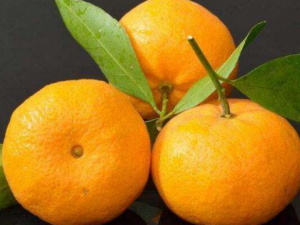 Ů����β��ܿ�˥�� �ʺ�Ů�Ե�10�ֿ�˥��ʳ��