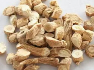 ��ͬ�Ĳ�֢�в�ͬ����ҩ��ʳʱ�� ����ҩ��ο�ʱ����